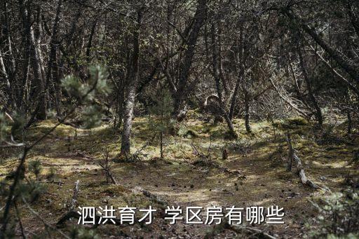 泗洪学区房划定2016,泗洪育才学校位于泗洪中学斜对面