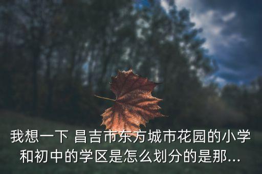 昌吉一中学区房,小学毕业不久城市变成十所小学