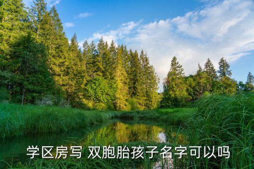  学区房写 双胞胎孩子名字可以吗