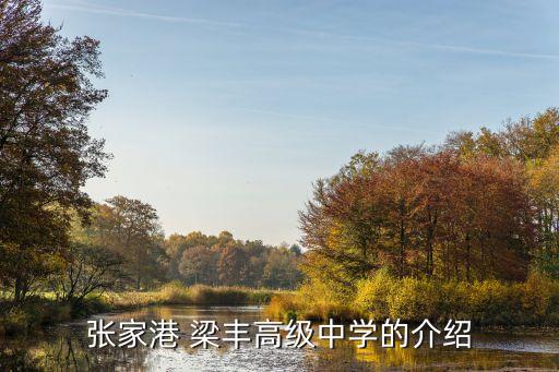 梁丰初级中学学区房,张家港梁丰初中学比二中好
