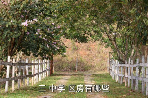 三 中学 区房有哪些