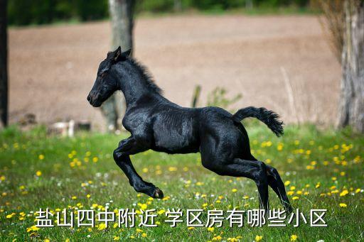 盐山四中附近 学区房有哪些小区