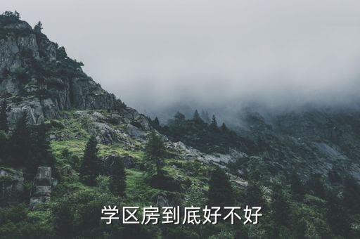  学区房到底好不好