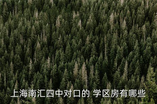 嘉定新城花园里学区房,上海南汇四中学区房间有哪些?