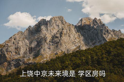 上饶学区房大概多少钱,河南实验小学周边有很多小学学区间