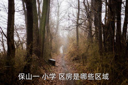 保山一 小学 区房是哪些区域
