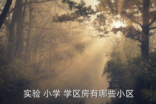  实验 小学 学区房有哪些小区