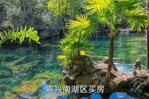  嘉兴南湖区买房