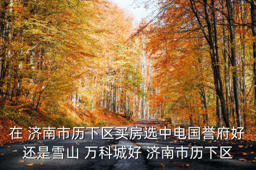 在 济南市历下区买房选中电国誉府好还是雪山 万科城好 济南市历下区
