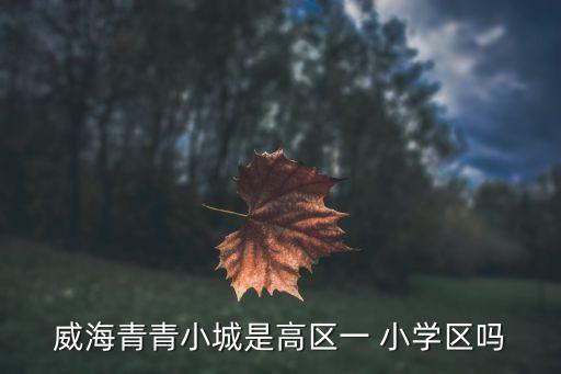 界首一小学区房,六盘水市第一学校小学附近有不少学校区房