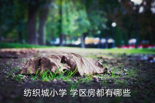 纺织城小学 学区房都有哪些