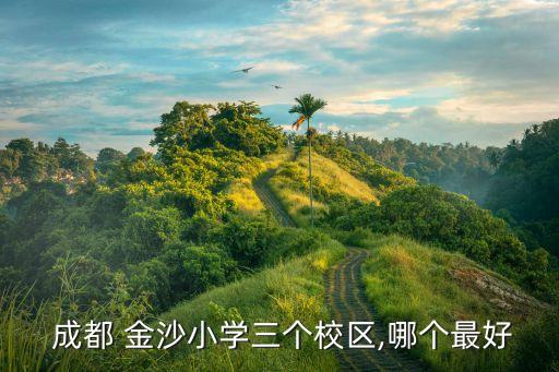  成都 金沙小学三个校区,哪个最好