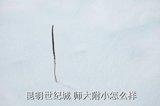 昆明师大附小学区房,云南师范大学附属小学环境和教育质量很好