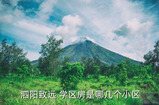  泗阳致远 学区房是哪几个小区