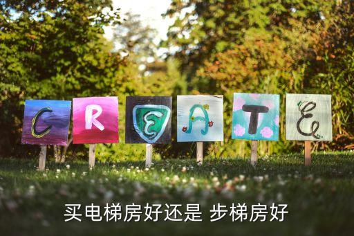 买电梯房好还是 步梯房好
