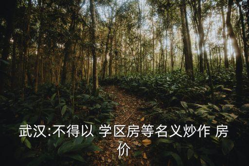 武汉:不得以 学区房等名义炒作 房价