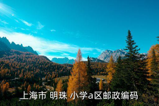 明珠小学a区学区房,浦东新区第一所公办学校明珠小学分校区