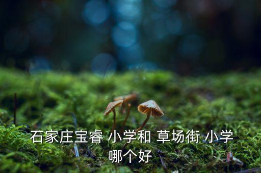 石家庄草场街小学学区房,石家庄五所小学排名出炉