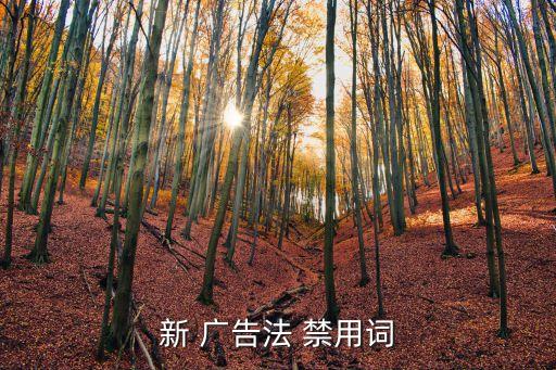 学区房广告禁用语,广告法律分析:禁用词汇主要包括以下几类