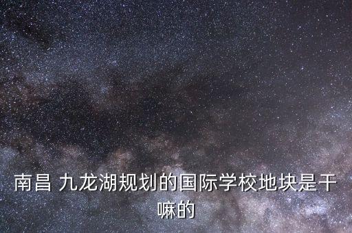 南昌市九龙湖学区房,南昌九龙湖规划国际学校地块一房一梯一户