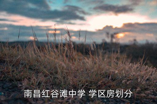 南昌红谷滩中学 学区房划分