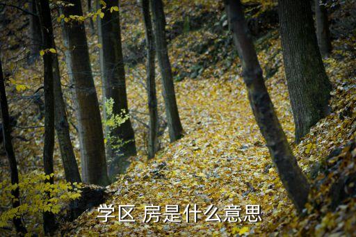 学区房是初中还是高中,学区房子定义:学前教育区域内的房屋