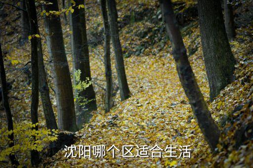 沈阳长白岛南昌学区房,为孩子上学买学区房三大优势!