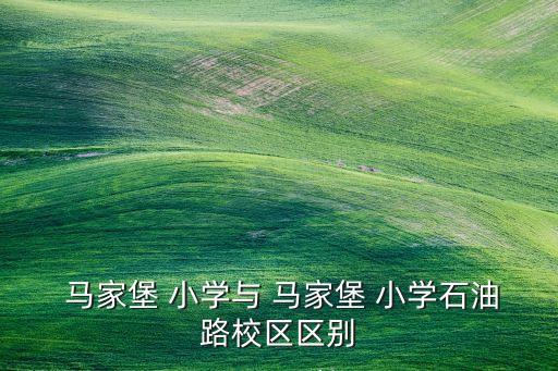  马家堡 小学与 马家堡 小学石油路校区区别