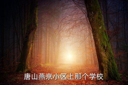 唐山燕京小区上那个学校