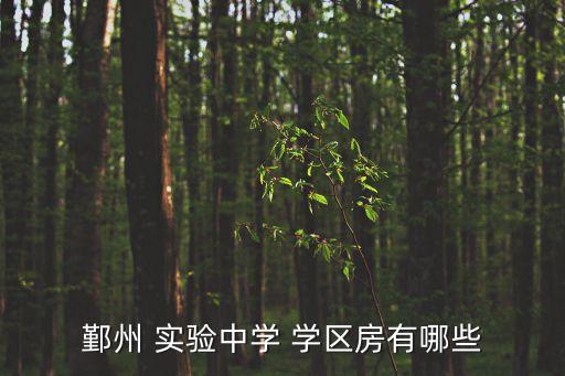 夷陵区实验初中学区房,鄞州实验中学新学区有哪些