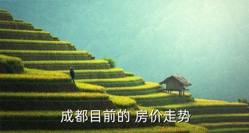 成都青羊区学区房价,成都郊区整体均价过万学区房最佳区域