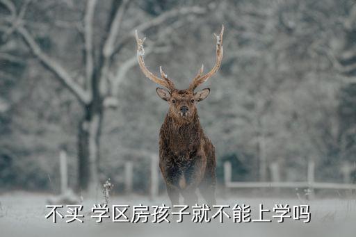 不买 学区房孩子就不能上学吗
