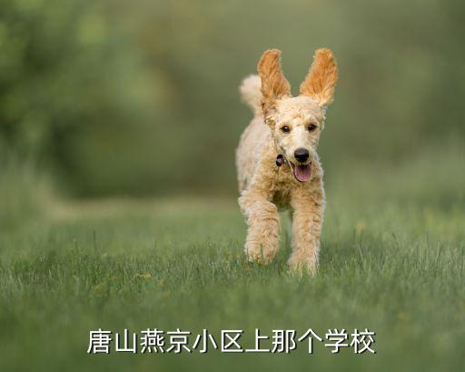 唐山燕京小区上那个学校