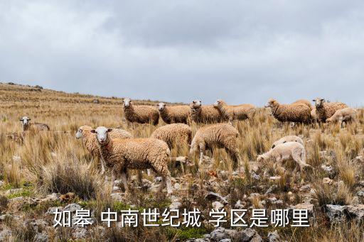 镇江 中南 学区房,上海买a学区房子要了解房子所在学区额度