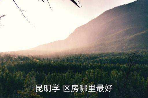 昆明学 区房哪里最好