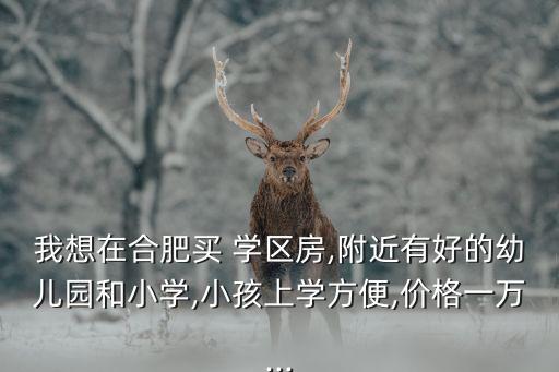 我想在合肥买 学区房,附近有好的幼儿园和小学,小孩上学方便,价格一万...