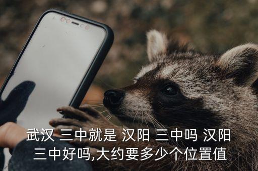 武汉 三中就是 汉阳 三中吗 汉阳 三中好吗,大约要多少个位置值