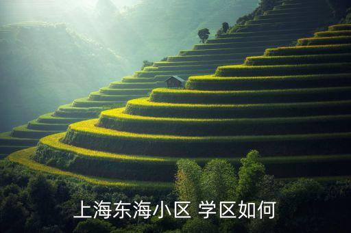 上海东海小区 学区如何