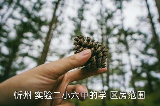 忻州 实验二小六中的学 区房范围