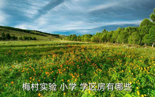 无锡市滨湖区小学学区房,本地九所小学的课程