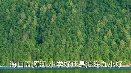海口九小学区房指标多少钱,滨海第九小学的区别
