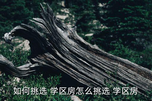 如何挑选 学区房怎么挑选 学区房