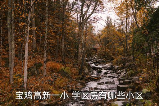 宝鸡高新一小 学区房有哪些小区