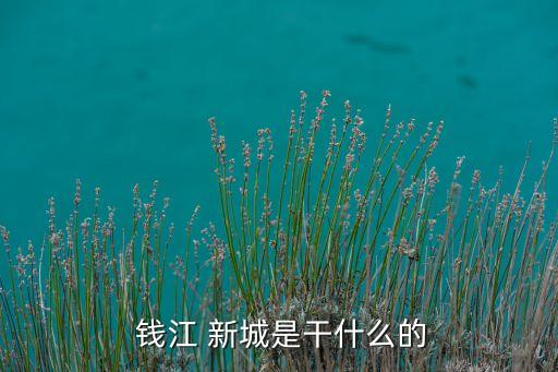  钱江 新城是干什么的