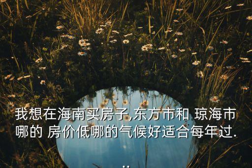 我想在海南买房子,东方市和 琼海市哪的 房价低哪的气候好适合每年过...