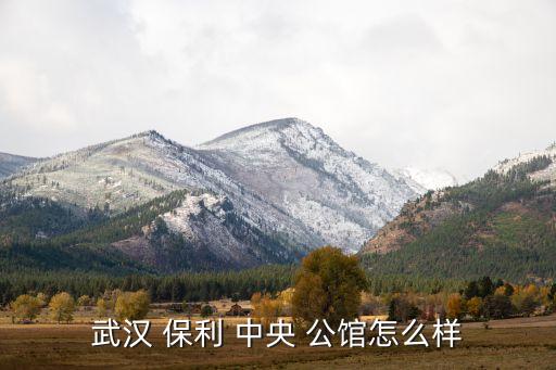 保利中央公馆 学区房,保利中央公馆位于南湖核心区