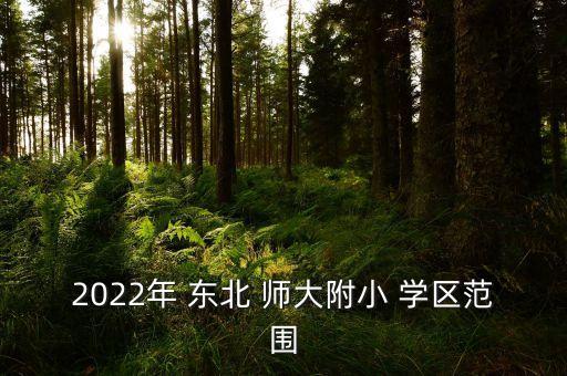 2022年 东北 师大附小 学区范围