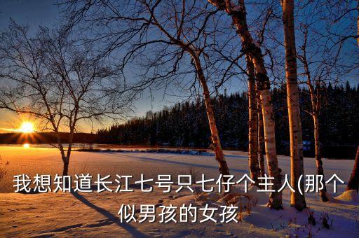 杭州长寿桥学区房,杭州市实验学校长寿乔小学成为省重点小学