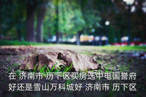 在 济南市 历下区买房选中电国誉府好还是雪山万科城好 济南市 历下区
