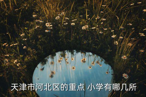  天津市河北区的重点 小学有哪几所